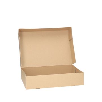 BIO Cateringboxen Ohne Fenster Nature Kraft 35cm klein